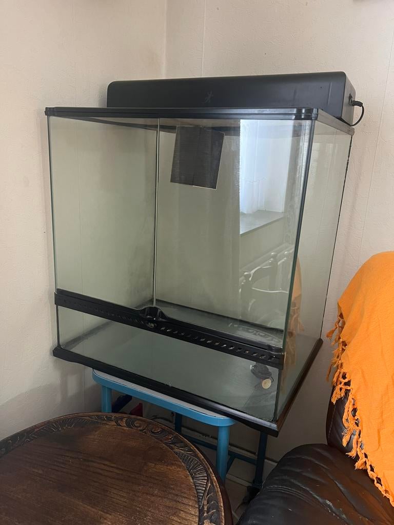 Exo Terra terrarium 60 x 45 x 60, Dieren en Toebehoren, Ophalen, Gebruikt, Terrarium of Paludarium