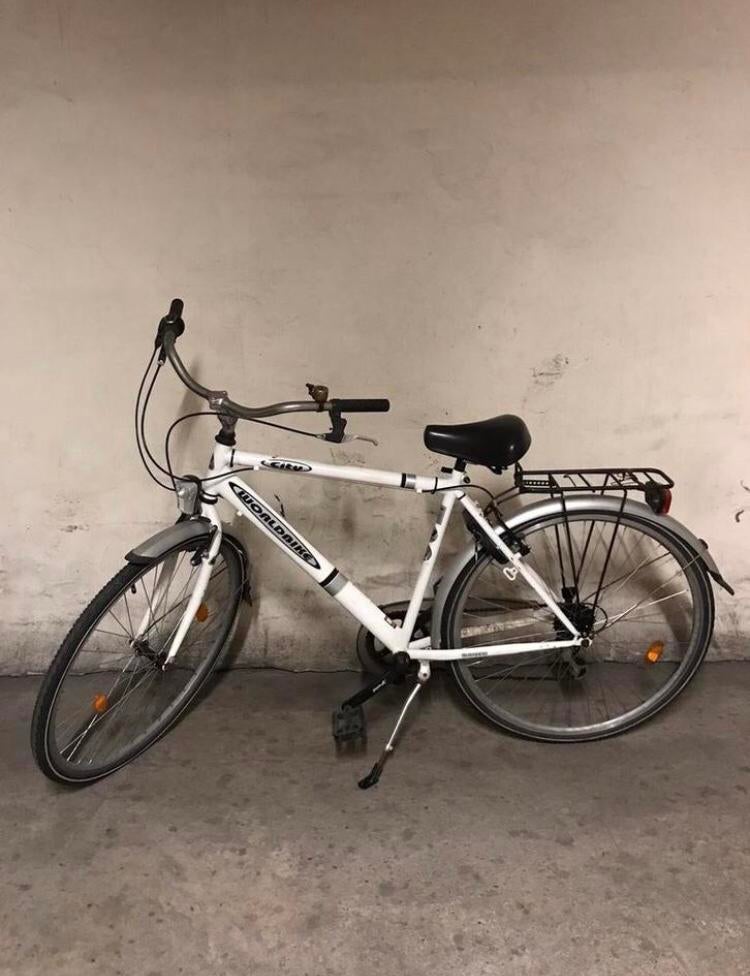 Worldbike - Herenfiets, Ophalen, Gebruikt, Overige merken, Versnellingen