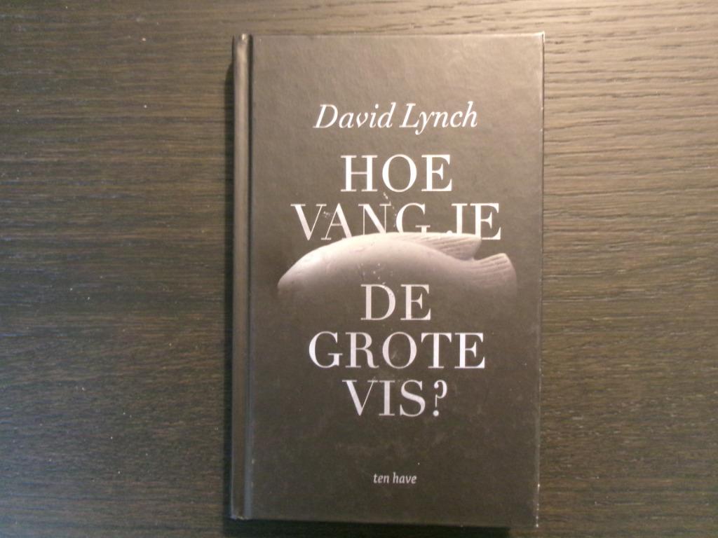 Hoe vang je de grote vis  -David Lynch-, Ophalen of Verzenden