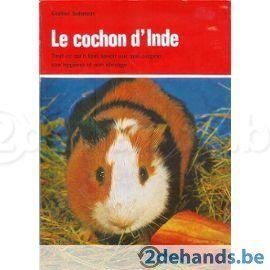 Le cochon d 'inde, Livres, Animaux & Animaux domestiques, Neuf, Lapins ou Rongeurs, Enlèvement