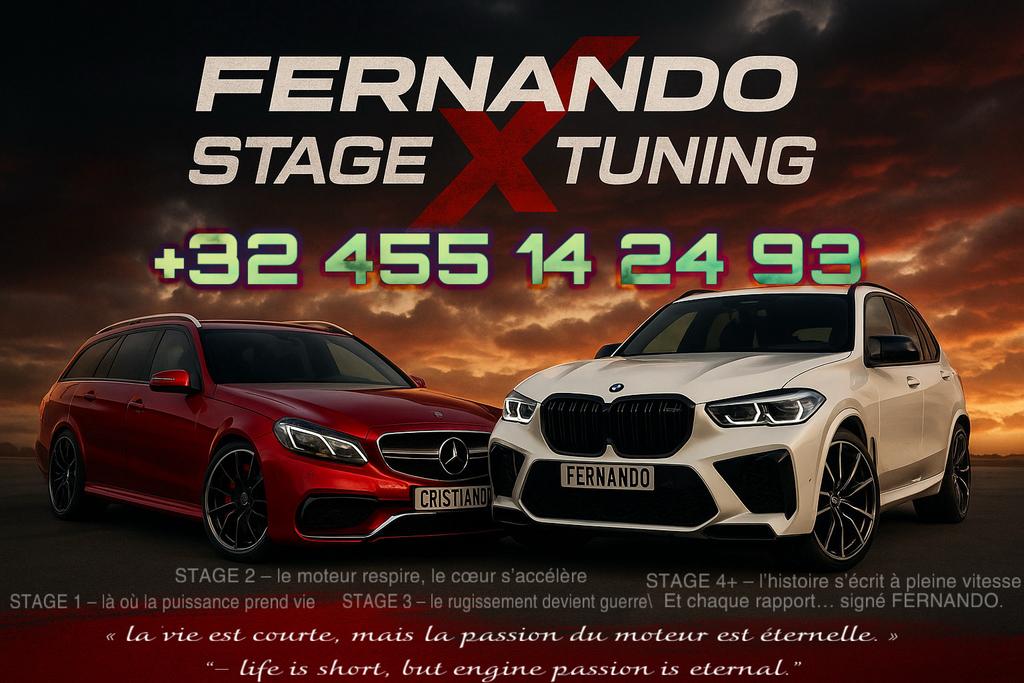 Repro Carto STAGE 1/1+ STAGE 2/2+ ADBLUE DPF EGR OFF TÉMOIN, Autos : Divers, Tuning & Styling, Enlèvement ou Envoi