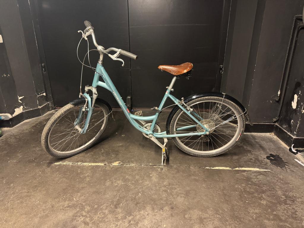 Vélo Specialized avec selle Brooks, Specialized, 47 à 51 cm, Cruiser, Acier