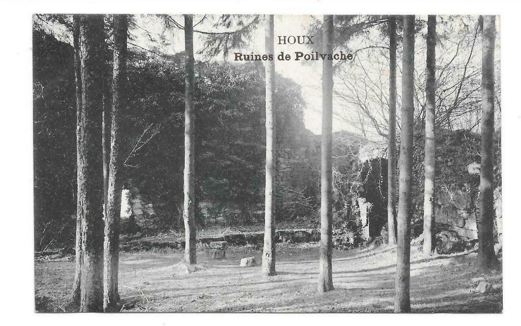 Houx ruines de Poilvache, Verzamelen, Ophalen of Verzenden, Ongelopen, Namen