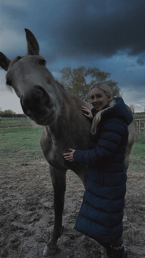 paardenlessen aangeboden