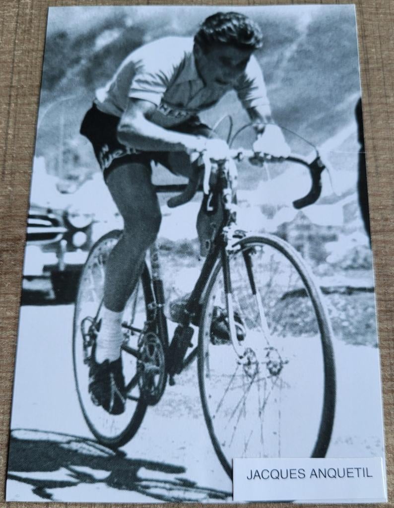 Wielrenner Jacques Anquetil: oude fotoprent, Ophalen of Verzenden, Gebruikt, Poster, Plaatje of Sticker