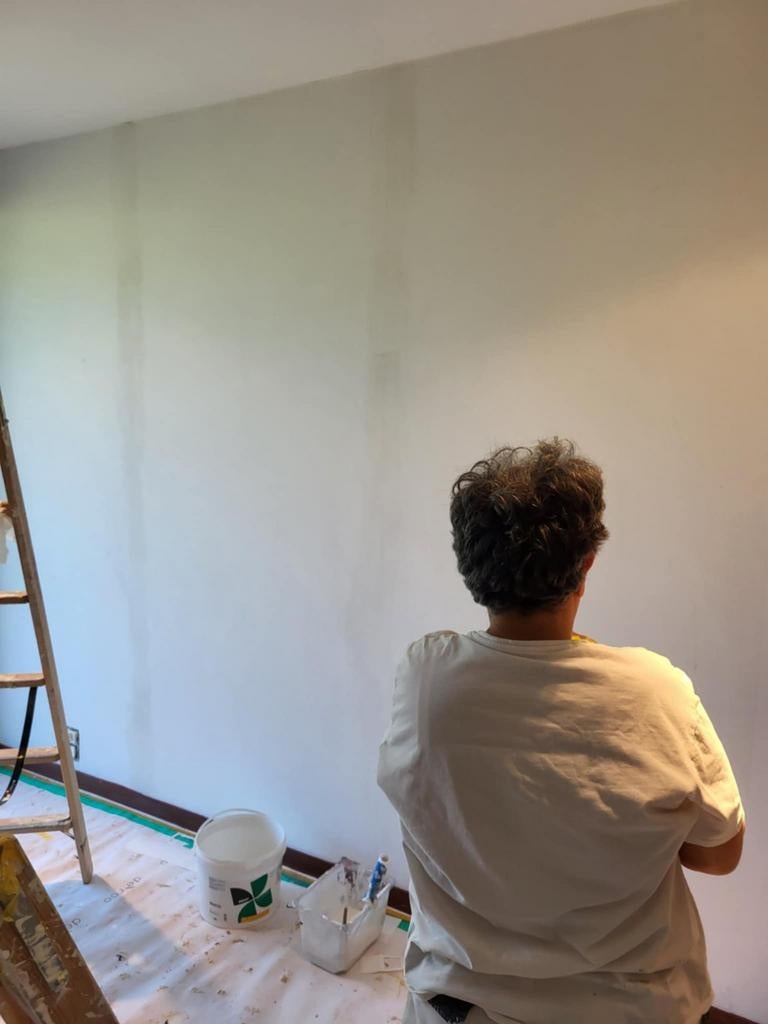 Schildenwerken en Plaster