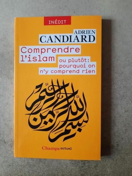 Comprendre l'Islam van Adrien Candiard, Ophalen of Verzenden, Zo goed als nieuw