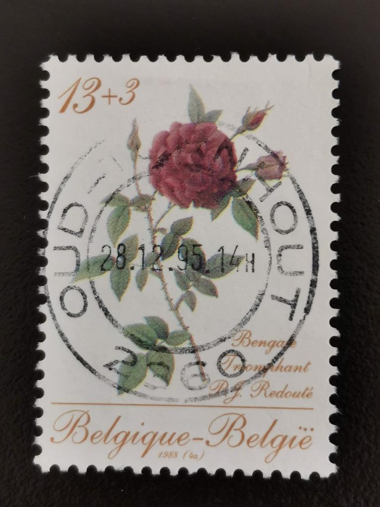 Belgique 1988 - fleurs - art - rose de Redouté, Enlèvement ou Envoi, Affranchi, Art