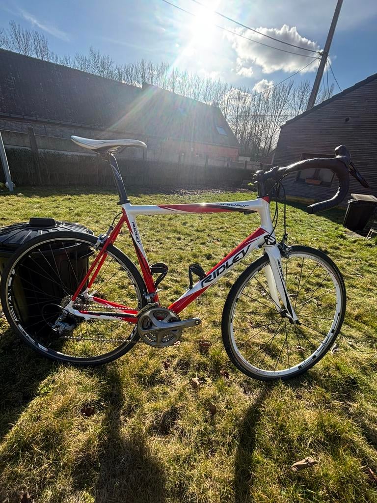 Rdley excalibure, Autres marques, 10 à 15 vitesses, 57 à 61 cm, Enlèvement