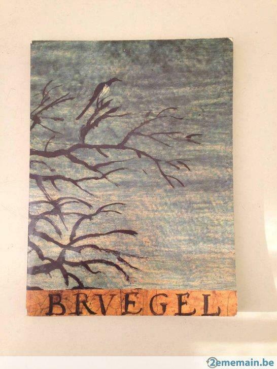 Bruegel. Le Peintre et Son Monde, Boeken, Ophalen of Verzenden, Gelezen