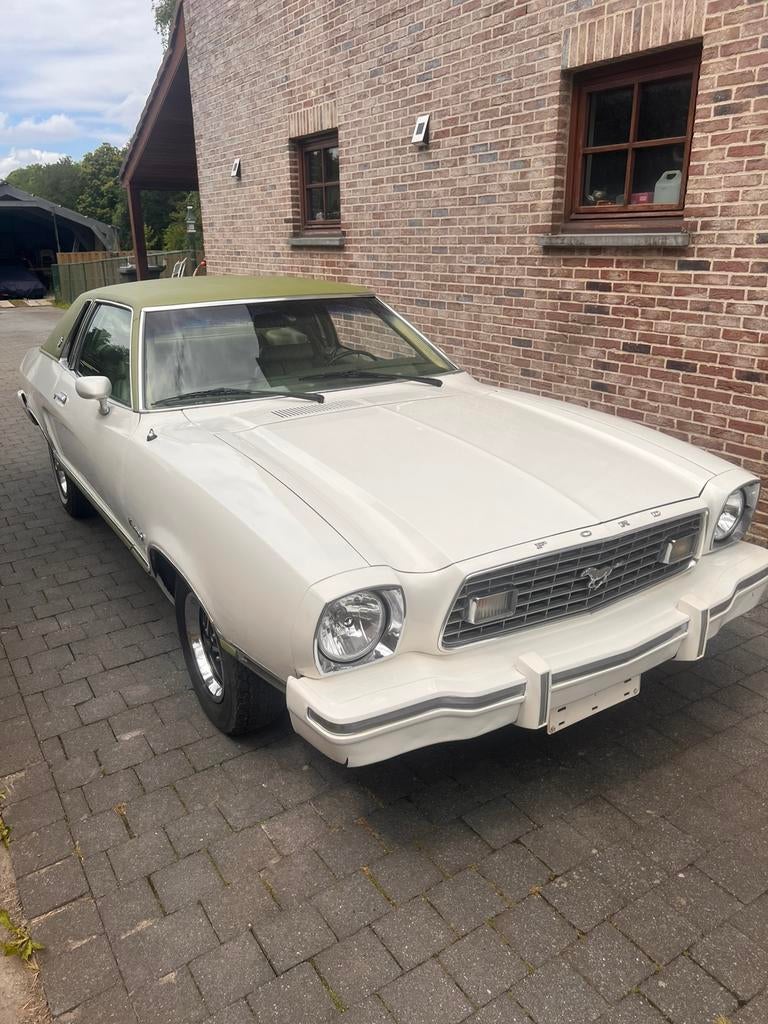 Ford mustang, Cuir, Achat, Boîte manuelle, 2 portes
