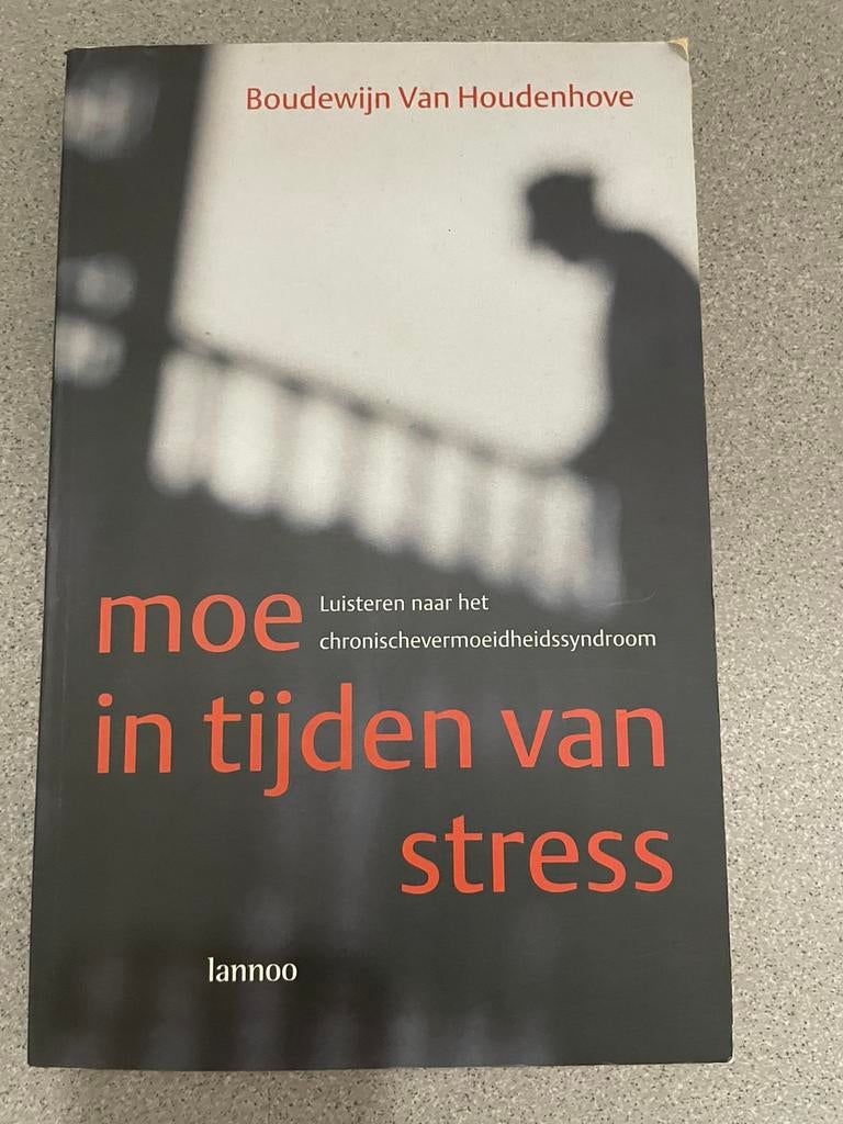 Boudewijn Van Houdenhove - Moe in tijden van stress, Enlèvement