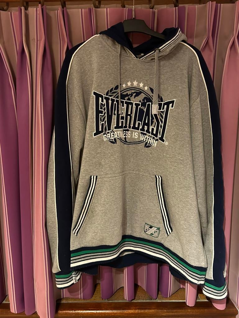 Magnifique sweet avec capuche tres chaud 4 xl, Vêtements | Hommes, Grandes tailles, Enlèvement ou Envoi, Comme neuf