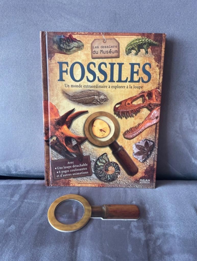 Les fossiles: livre éducatif, Livres, Animaux & Animaux domestiques, Enlèvement, Comme neuf, Reptiles ou Amphibiens