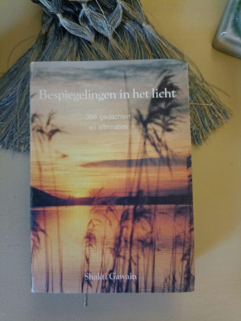 Bespiegelingen in het licht. Shakti Gawain, Ophalen of Verzenden, Zo goed als nieuw