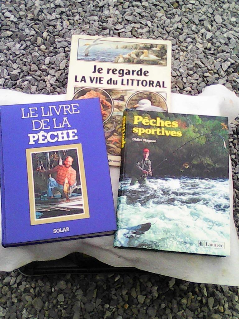2  LIVRES  SUR  LA   PECHE ----   4 €, Enlèvement, Comme neuf