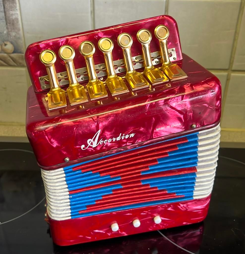 Kinder accordeon. ACCORDION, Ophalen, Gebruikt