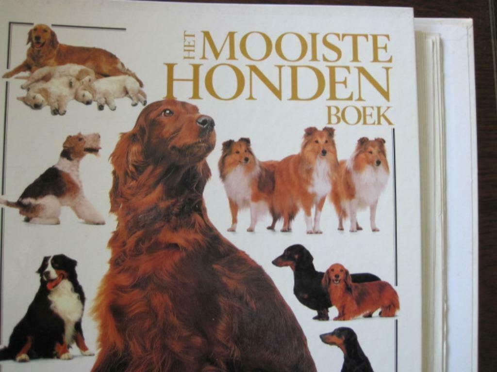 map : het mooiste hondenboek, Boeken, Ophalen of Verzenden, Gelezen