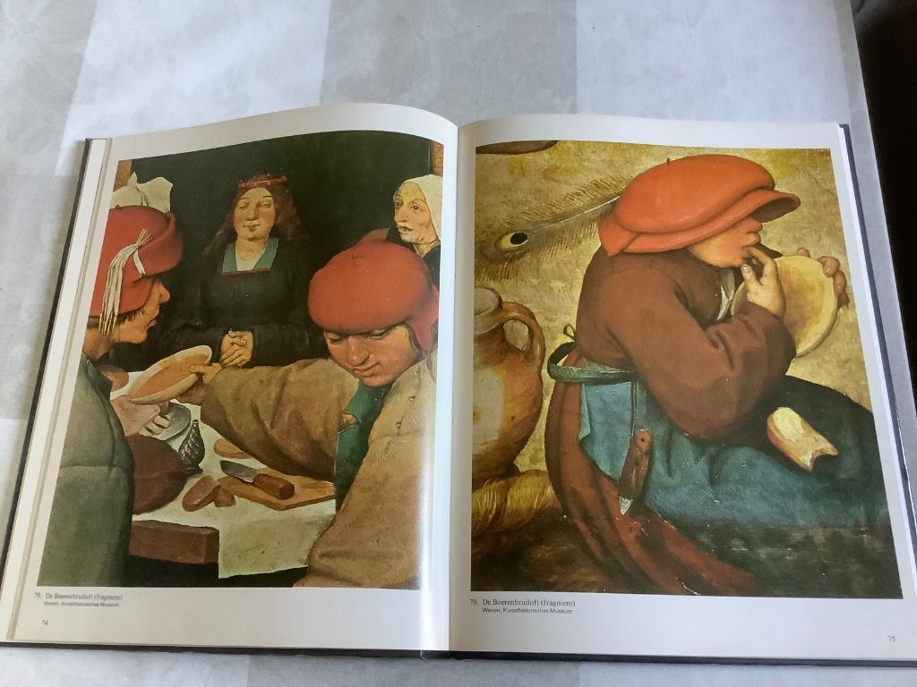 boek  Pieter Brueghel uitg rotterdam, Antiek en Kunst, Ophalen of Verzenden