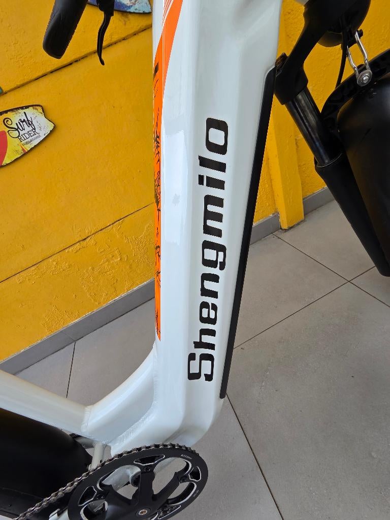 Elektrische fiets, Fietsen en Brommers, Elektrische fietsen, Ophalen, Zo goed als nieuw