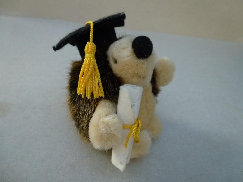 egeltje " graduate ", Kinderen en Baby's, Speelgoed | Knuffels en Pluche, Ophalen of Verzenden, Nieuw, Overige typen