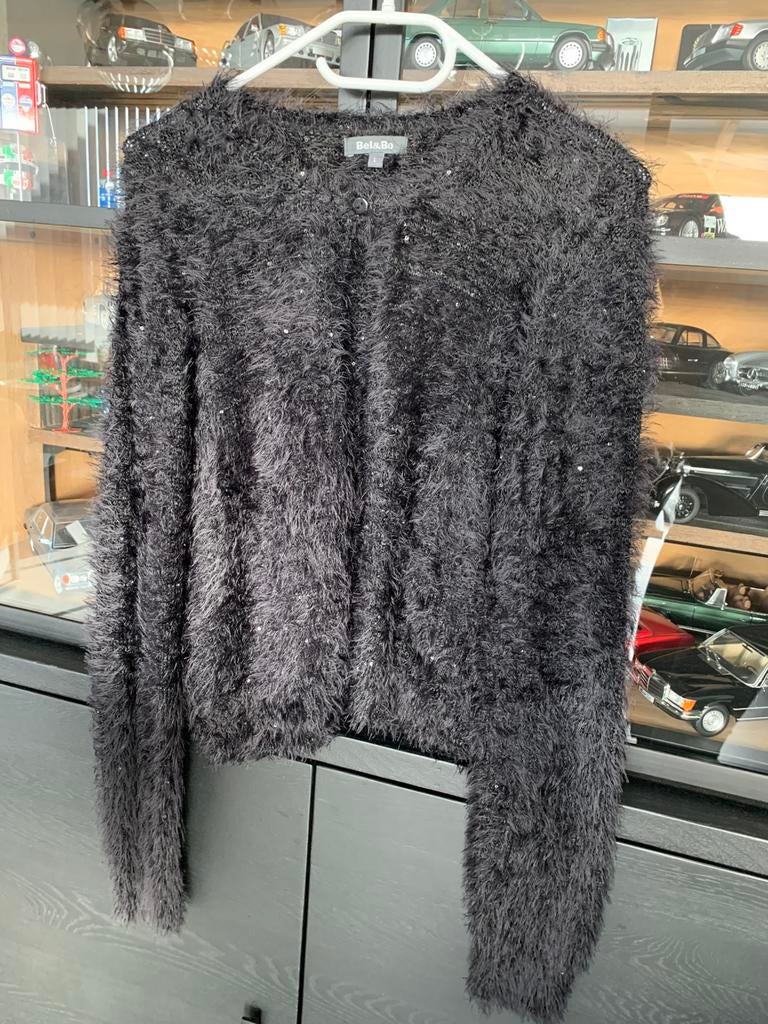 Pull Bel&Bo, Vêtements | Femmes, Taille 42/44 (L), Enlèvement ou Envoi, Bel & Bo, Porté