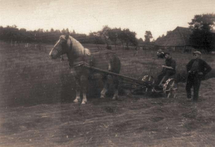 Paard getrokken maaimachine, Ophalen