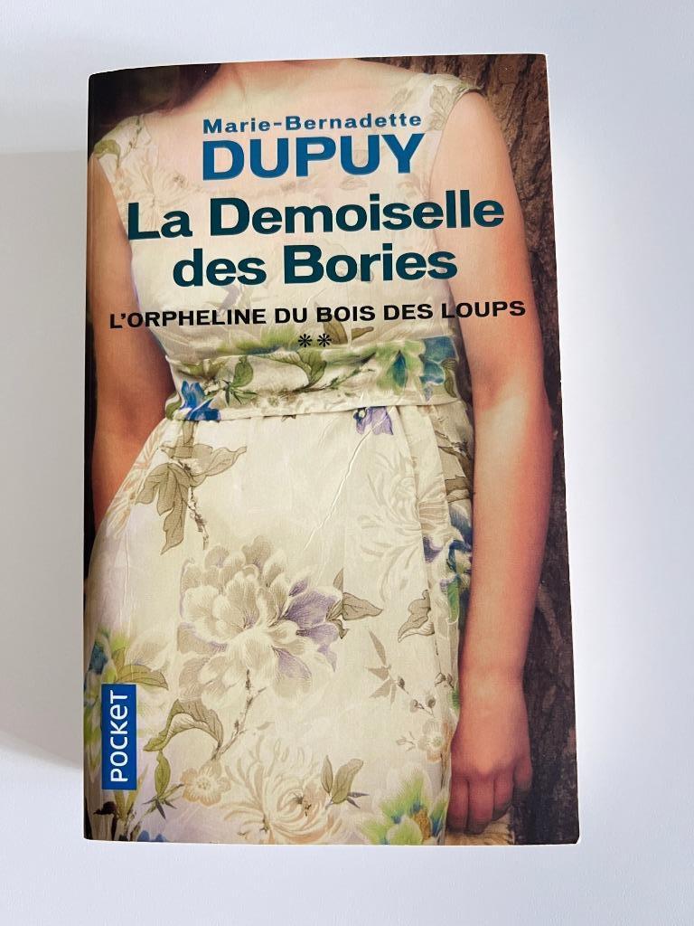 Livre La Demoiselle des Bories de Marie-Bernadette Dupuy, Livres, Romans, Enlèvement ou Envoi, Dupuy, Utilisé, Europe autre