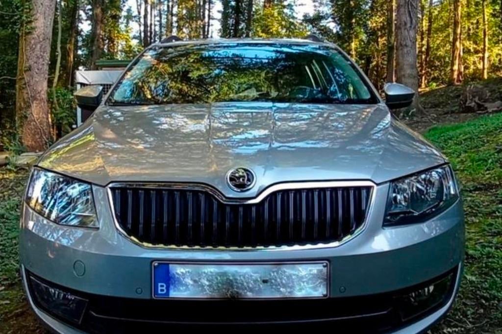 Skoda octavia combi ||| 1.0 Tsi 115 Pk Benzine, Auto's, Skoda, Bedrijf, Octavia, Boordcomputer, Cruise Control, Dakrails, Isofix
