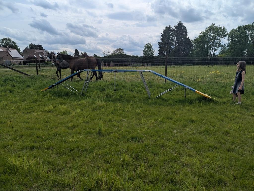 Agility brug, Dieren en Toebehoren, Stalling en Weidegang
