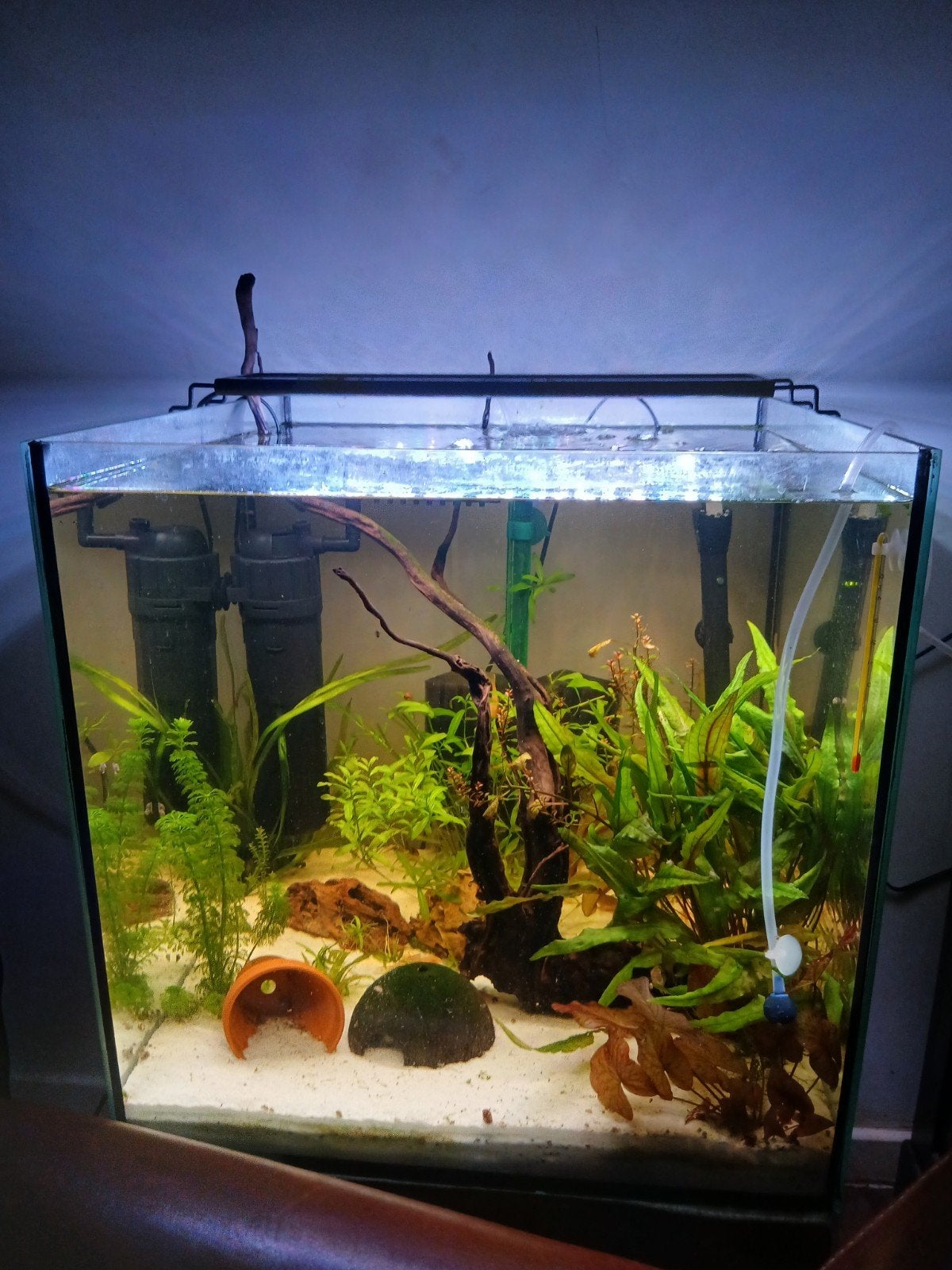 Aquarium 125 l, Animaux & Accessoires, Enlèvement, Chauffage