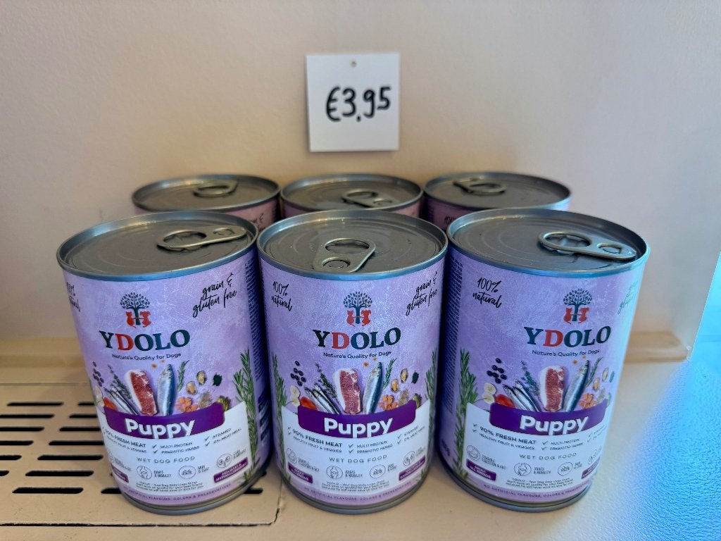 YDOLO Puppy 6 blikken vandaag GRATIS op te halen voor 17:00!, Dieren en Toebehoren, Ophalen, Hond