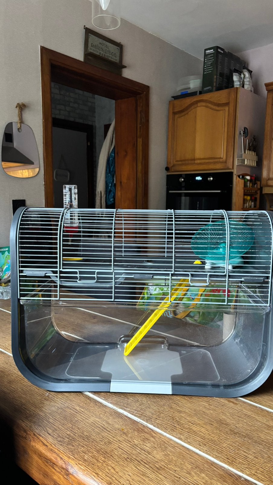 Cage hamster, Kooi, Minder dan 75 cm, Zo goed als nieuw, Hamster