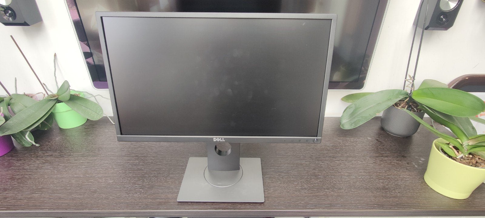 Dell 21.5" monitor, IPS, DisplayPort, Full HD, Enlèvement