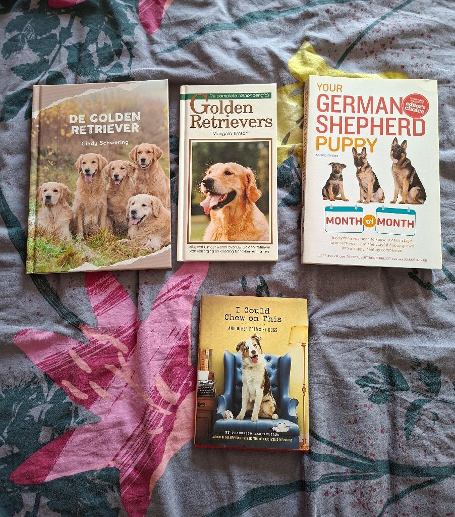 Golden retriever en varia boeken, Enlèvement, Chiens