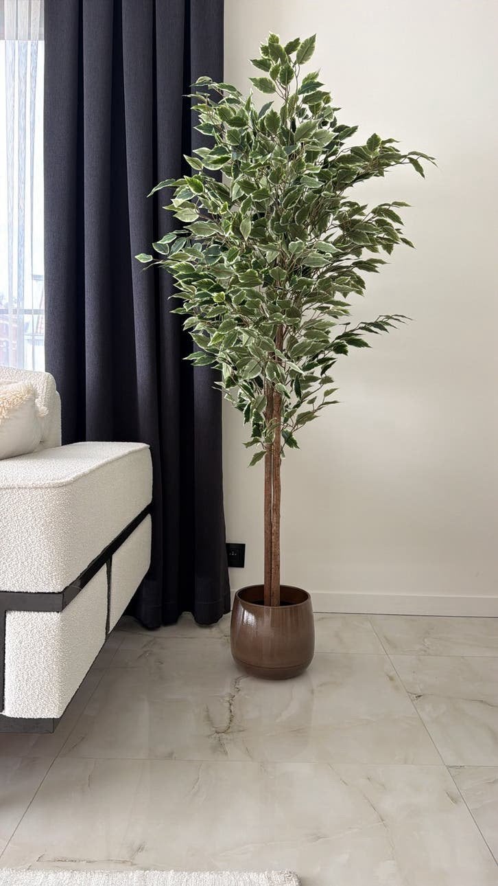 Kunstplant ficus 167cm pot incf, Huis en Inrichting, Ophalen, Zo goed als nieuw, Kunstplant