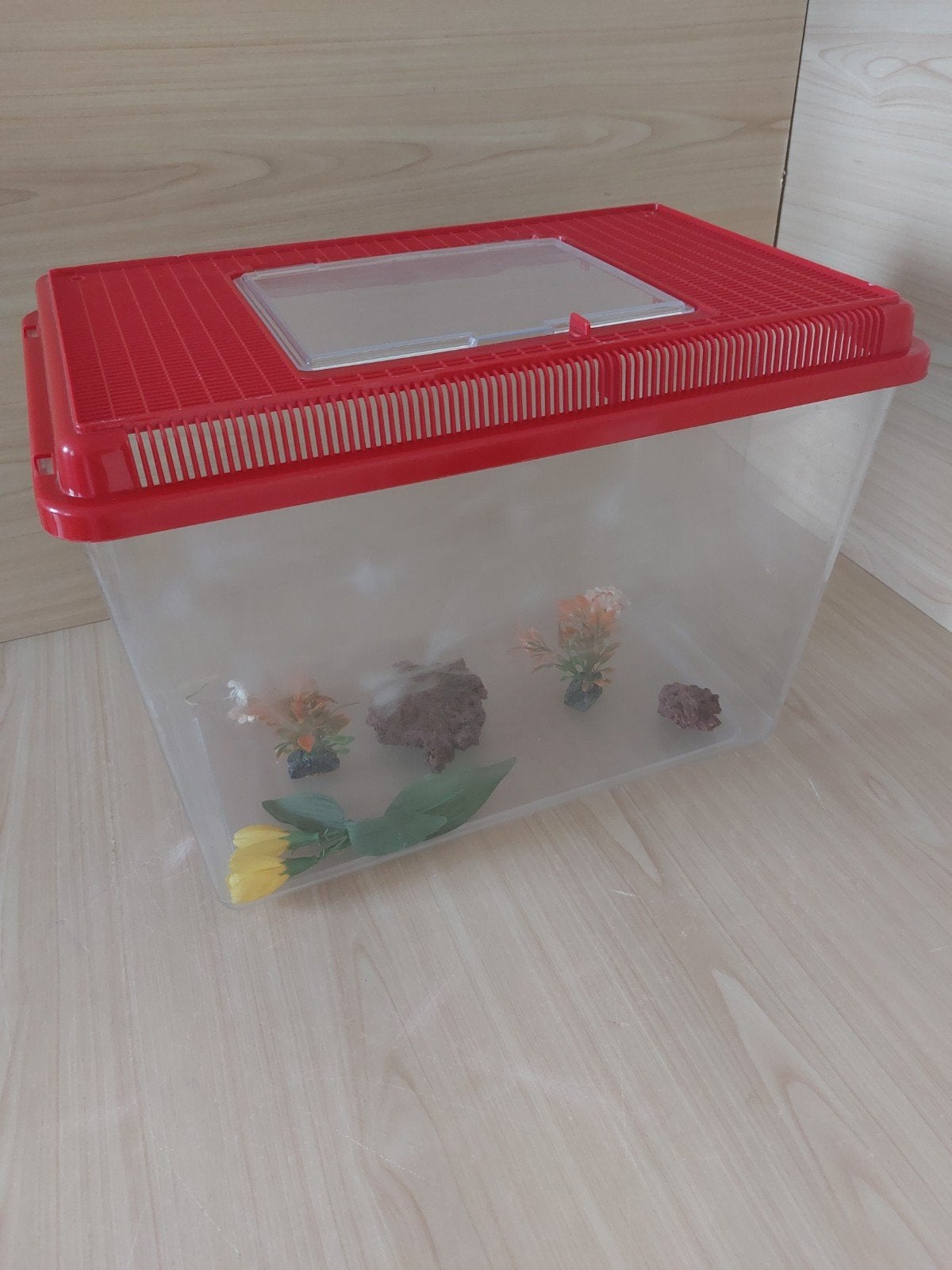 Aquarium, Animaux & Accessoires, Poissons | Aquariums & Accessoires, Enlèvement
