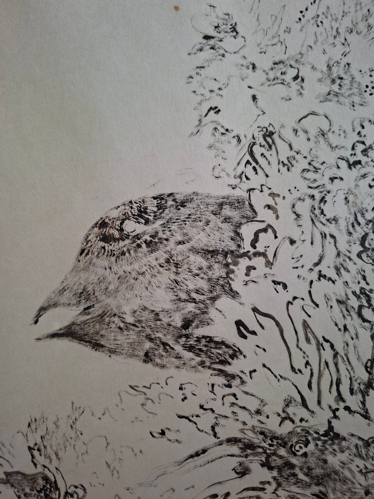 MINNAERT Frans "Vogel" inkttekening, Antiek en Kunst, Ophalen of Verzenden