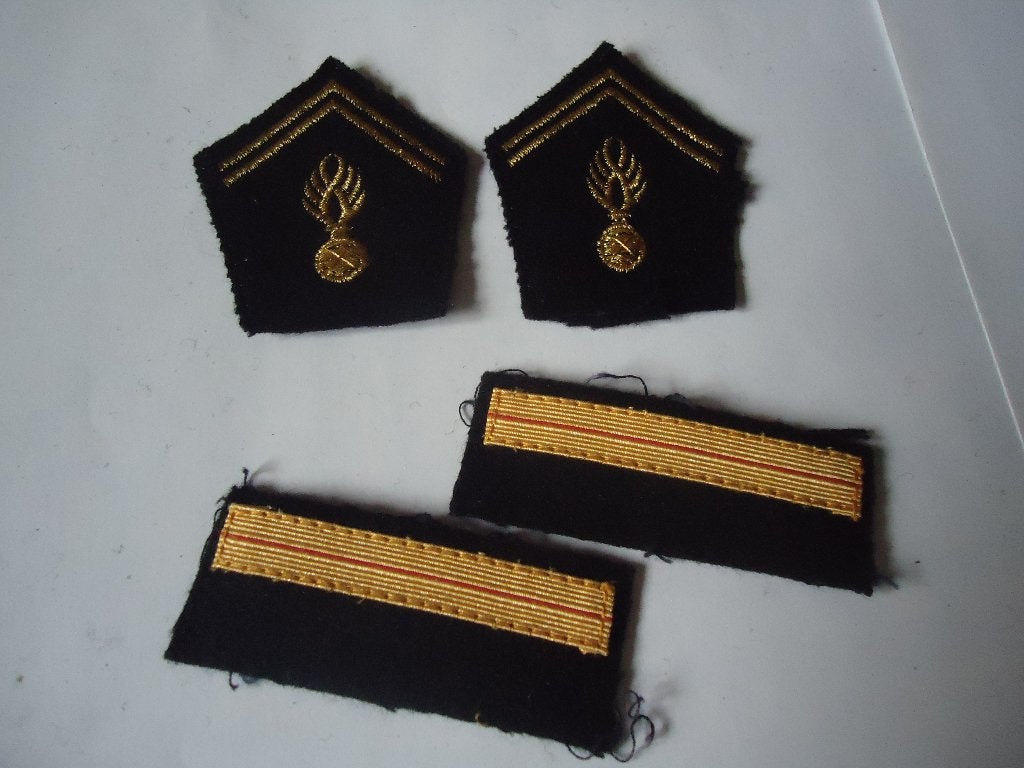 insignes adc gd mobile, Ophalen of Verzenden, Rijkswacht, Embleem of Badge