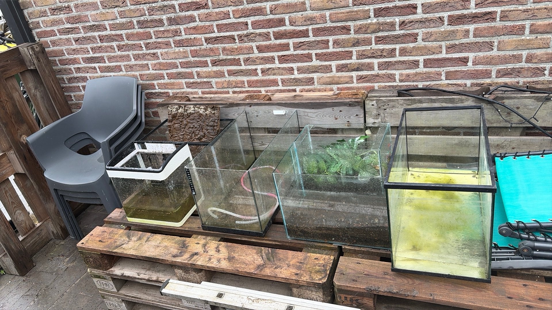 Lot aquarium, Dieren en Toebehoren, Ophalen, Gebruikt, Leeg aquarium