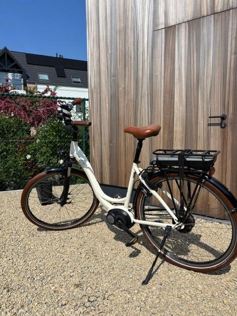 Riese & Müller Swing, Gebruikt, 51 tot 55 cm, 50 km per accu of meer, Ophalen