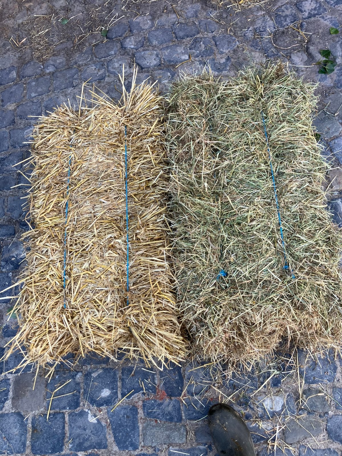 Kleine balen hooi en stro, Dieren en Toebehoren, Dierenvoeding, Ophalen
