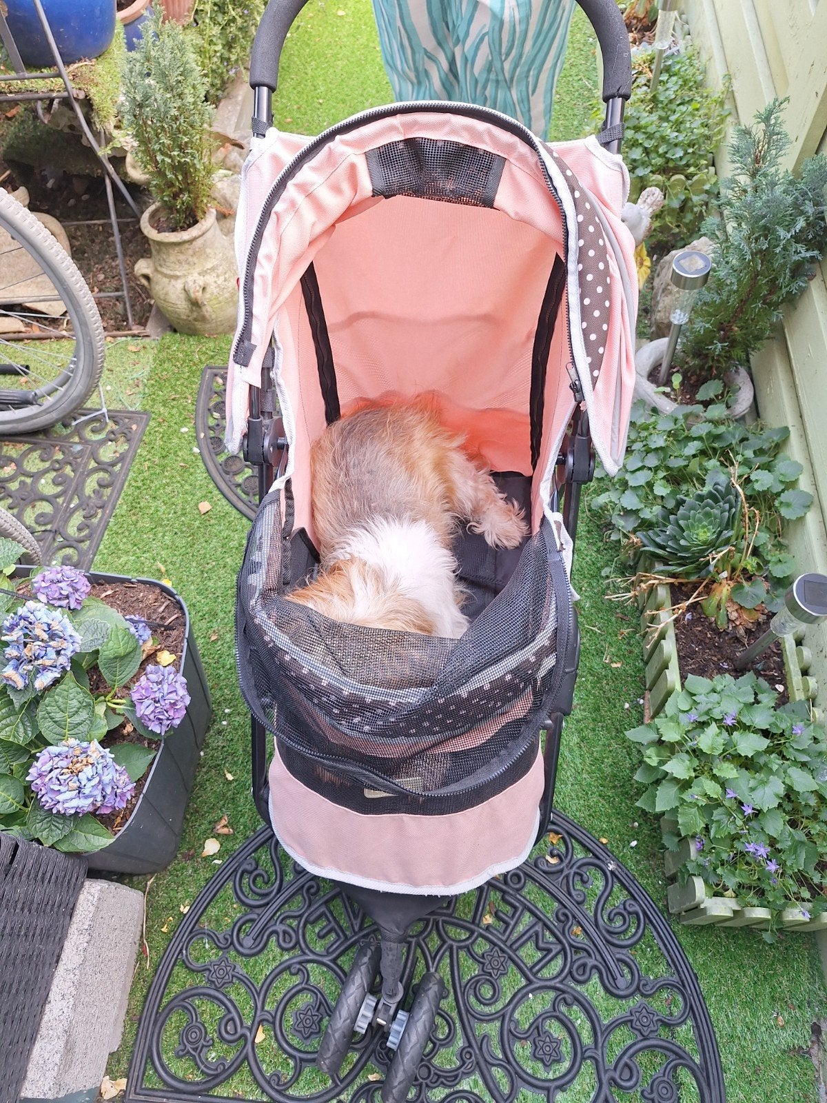 Honden buggy nieuw, Dieren en Toebehoren, Ophalen