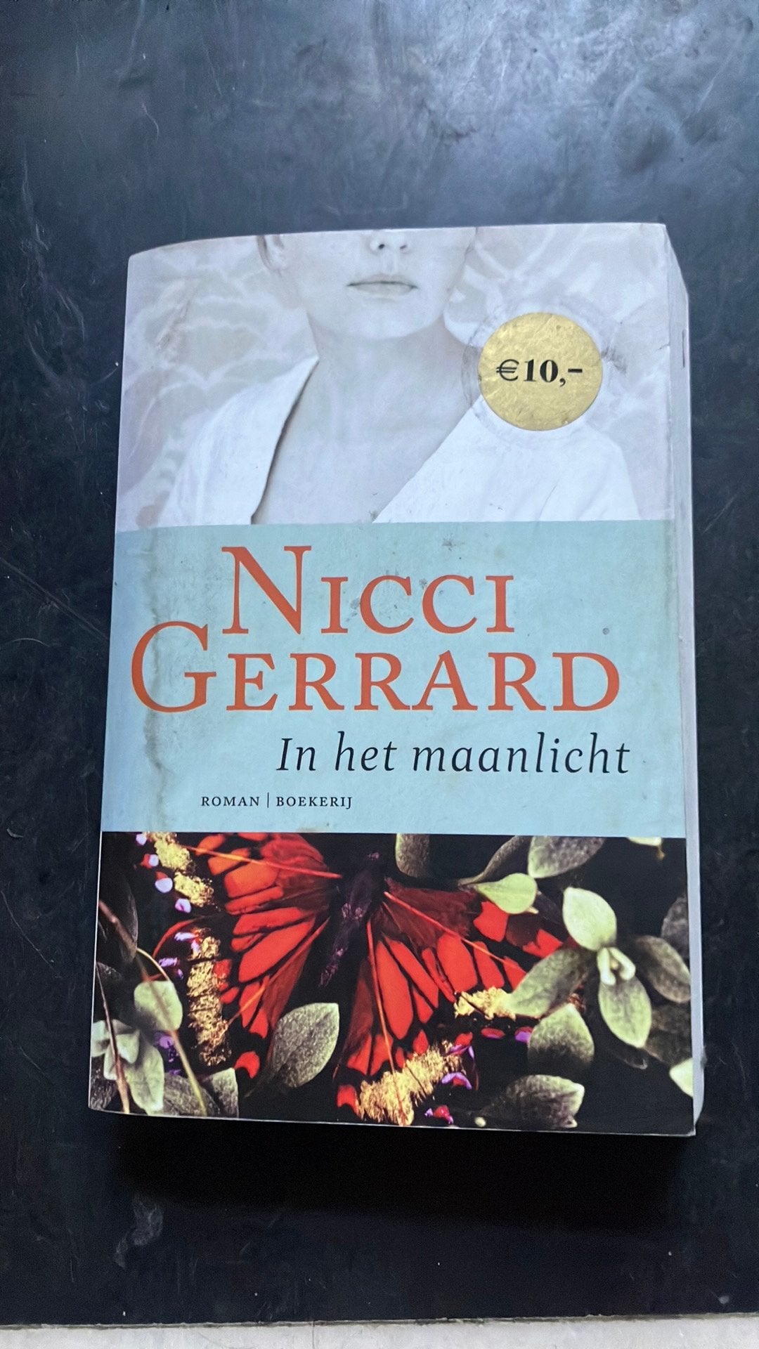 Nicci Gerrard - Au clair de lune, Livres, Littérature, Enlèvement