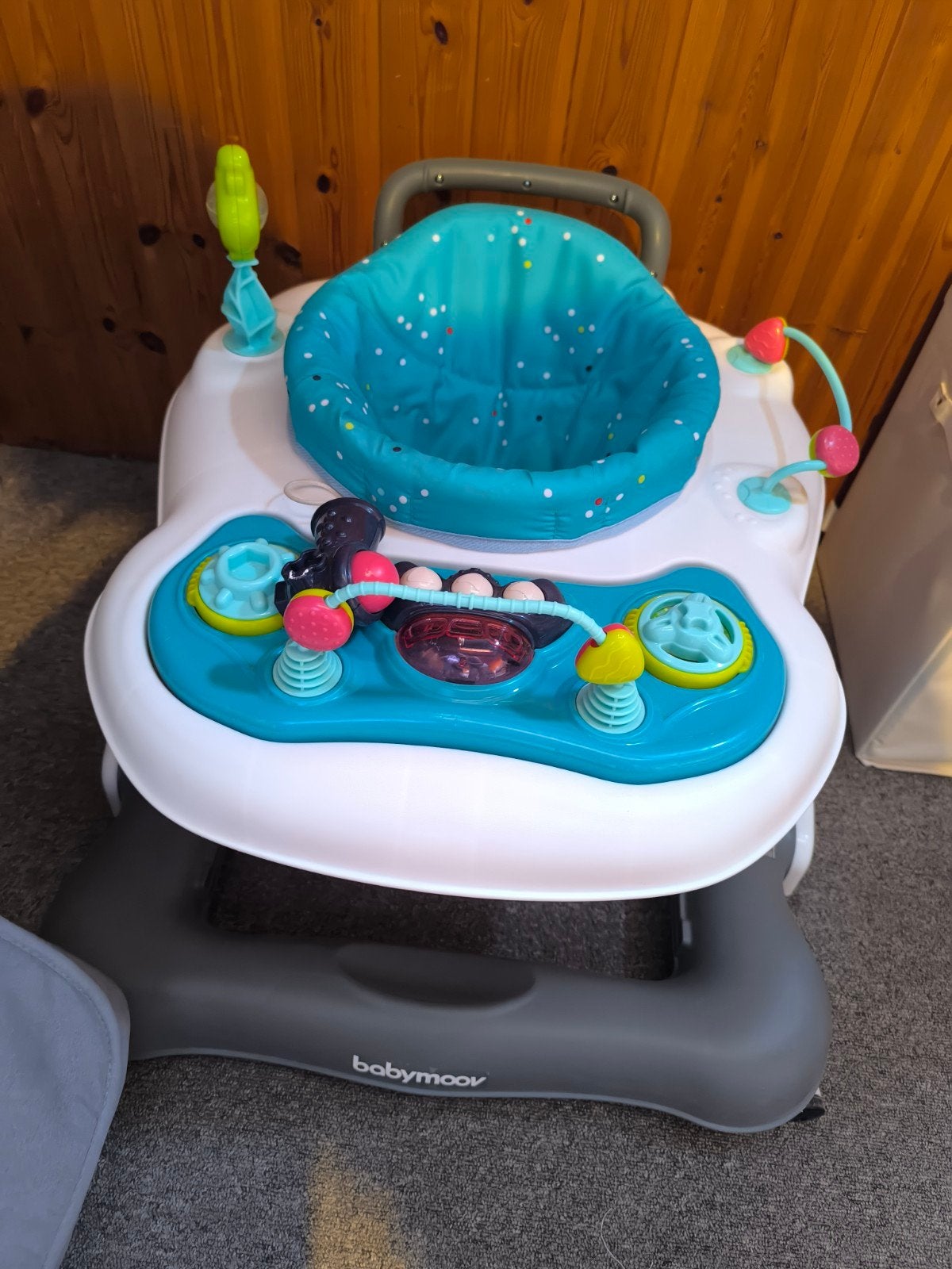 Trotteur, Enfants & Bébés, Enlèvement