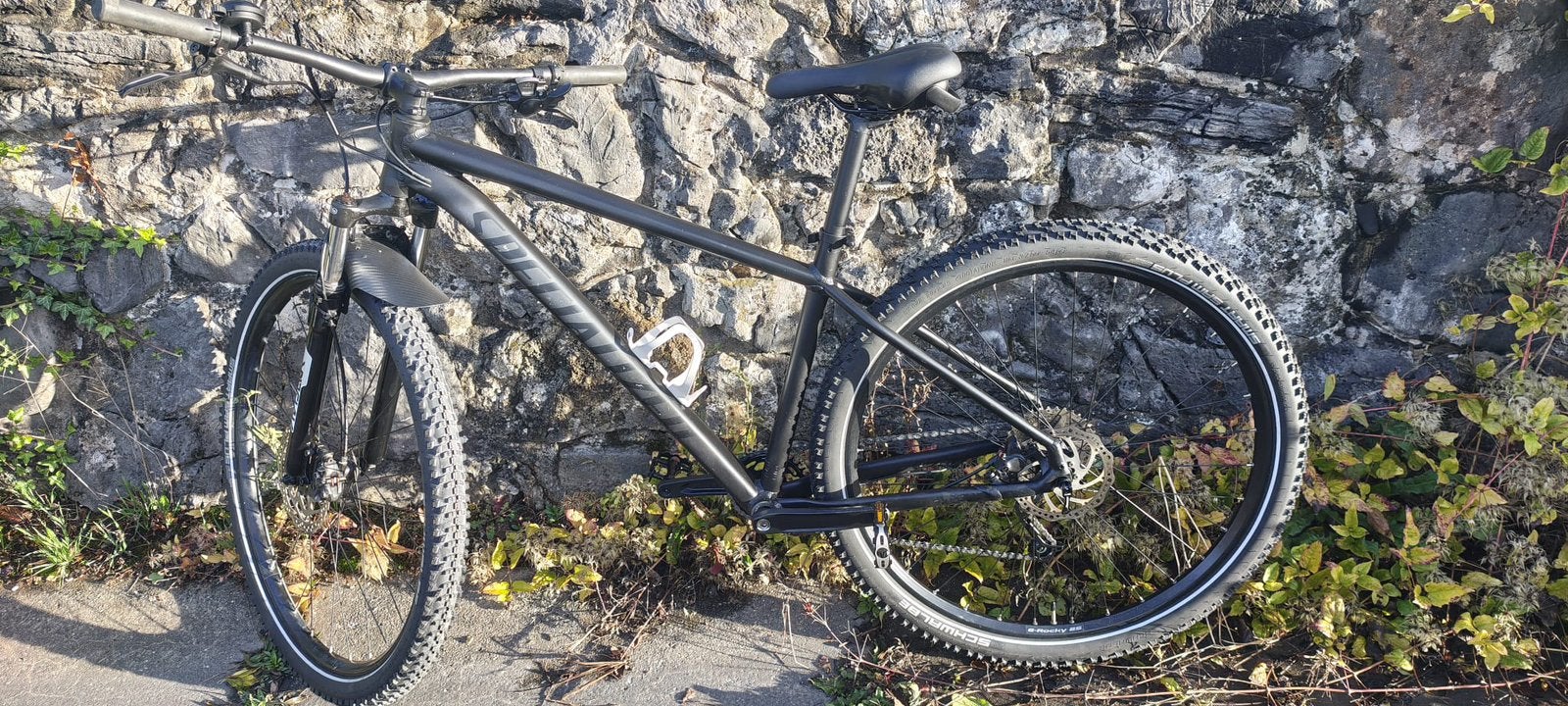 Vtt specialized rockhopper comp 29 " taille  L, Vélos & Vélomoteurs, Enlèvement, Comme neuf
