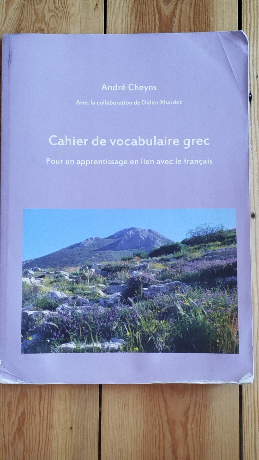 Cahier de vocabulaire grec. André Cheyns, Enlèvement, Grec