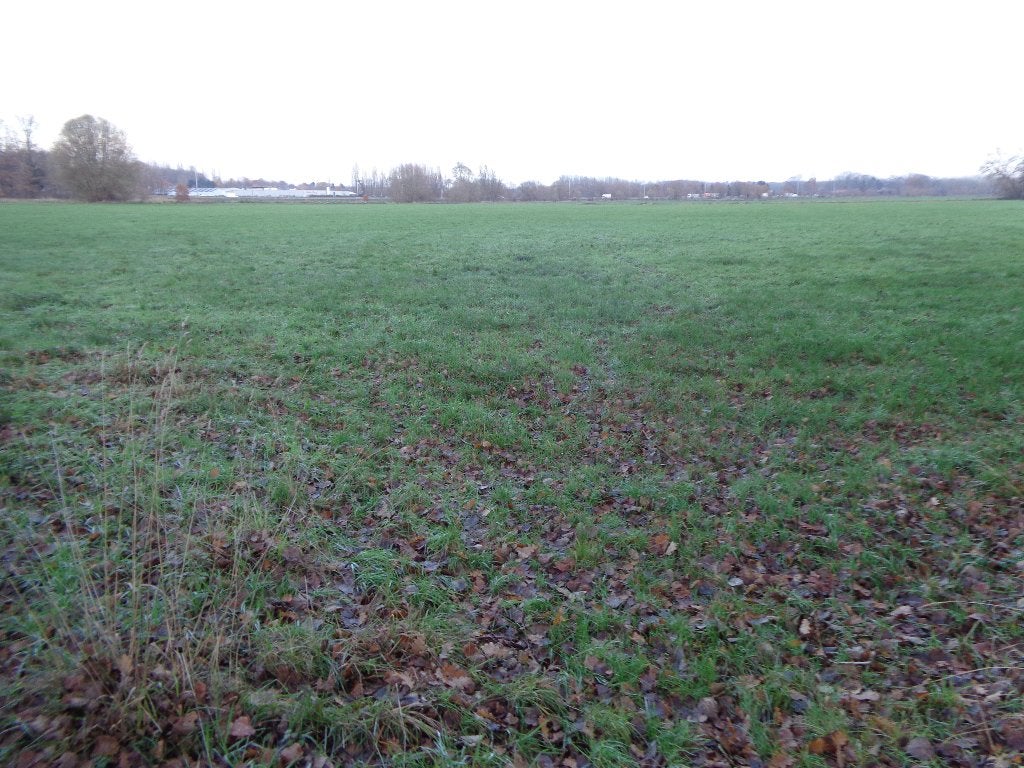 Weide te koop, Weidegang, 4 paarden of pony's of meer