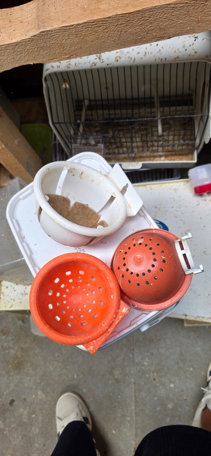 accessoires voor kanaries, Dieren en Toebehoren, Vogels | Toebehoren, Ophalen