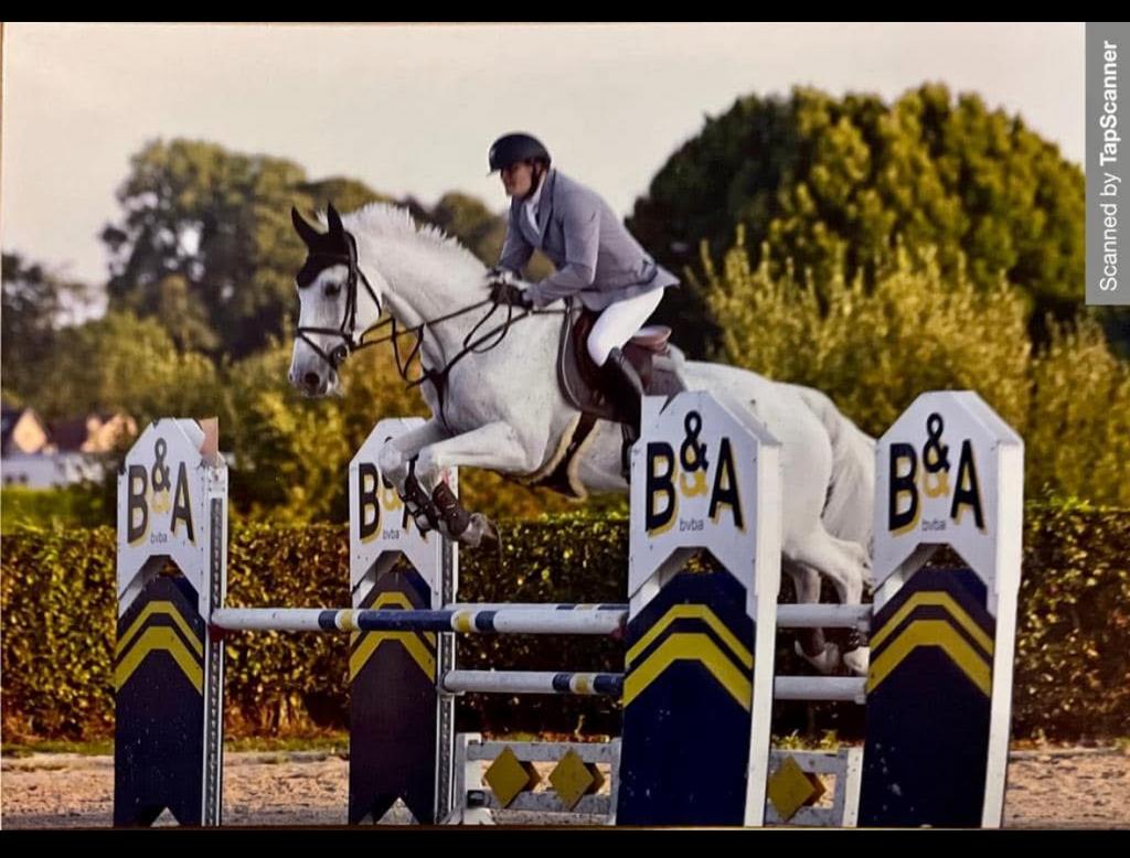 Fokmerrie, Dieren en Toebehoren, Paarden
